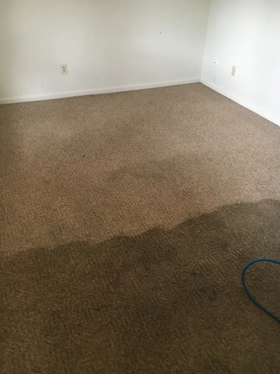 Steamworld Carpet Cleaning - past job - in progress deep carpet cleaning - Springfield, IL